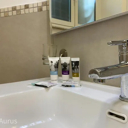 شقة Aurus *